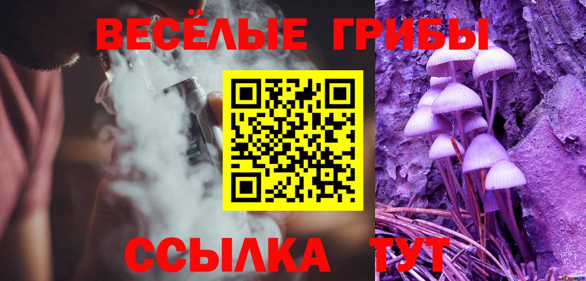 Галлюциногенные грибы Psilocybe Пыть-Ях